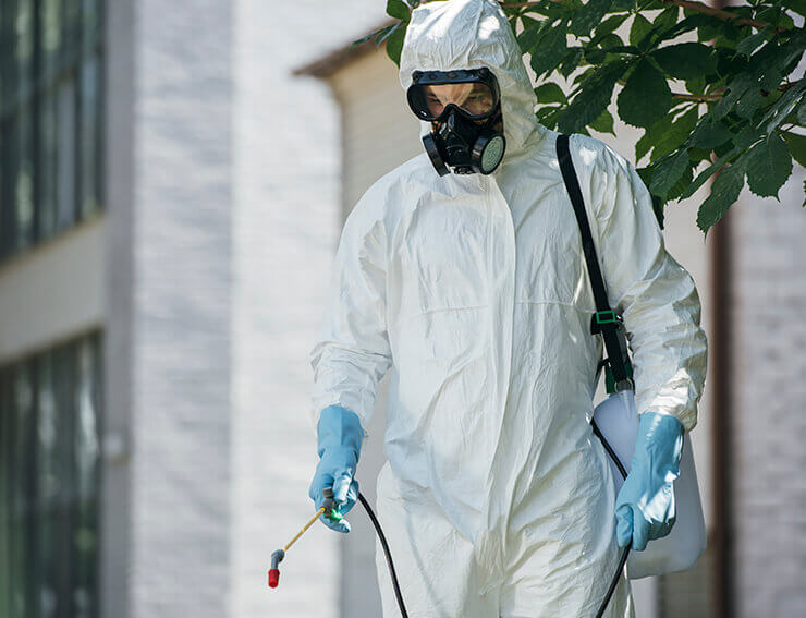 VistaCreate By EdZbarzhyvetsky - Dedetizadora em São Paulo VistaCreate By EdZbarzhyvetsky - Dedetizadora em São Paulo