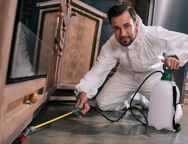 VistaCreate By EdZbarzhyvetsky - Dedetizadora VistaCreate By EdZbarzhyvetsky - Dedetizadora