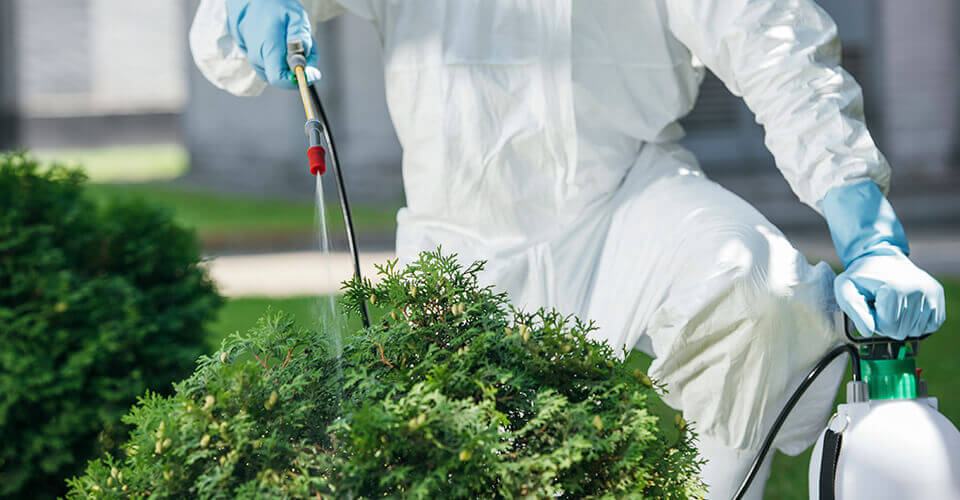 VistaCreate By EdZbarzhyvetsky - Dedetizadora SP VistaCreate By EdZbarzhyvetsky - Dedetizadora SP